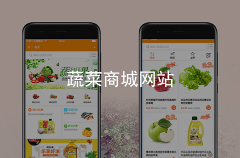 蔬菜商城手機網(wǎng)站制作案例_項目案例